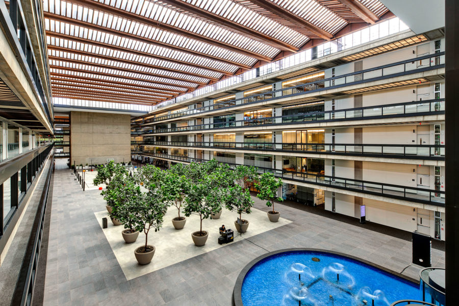 Seating and plantings in the Bell Works atrium