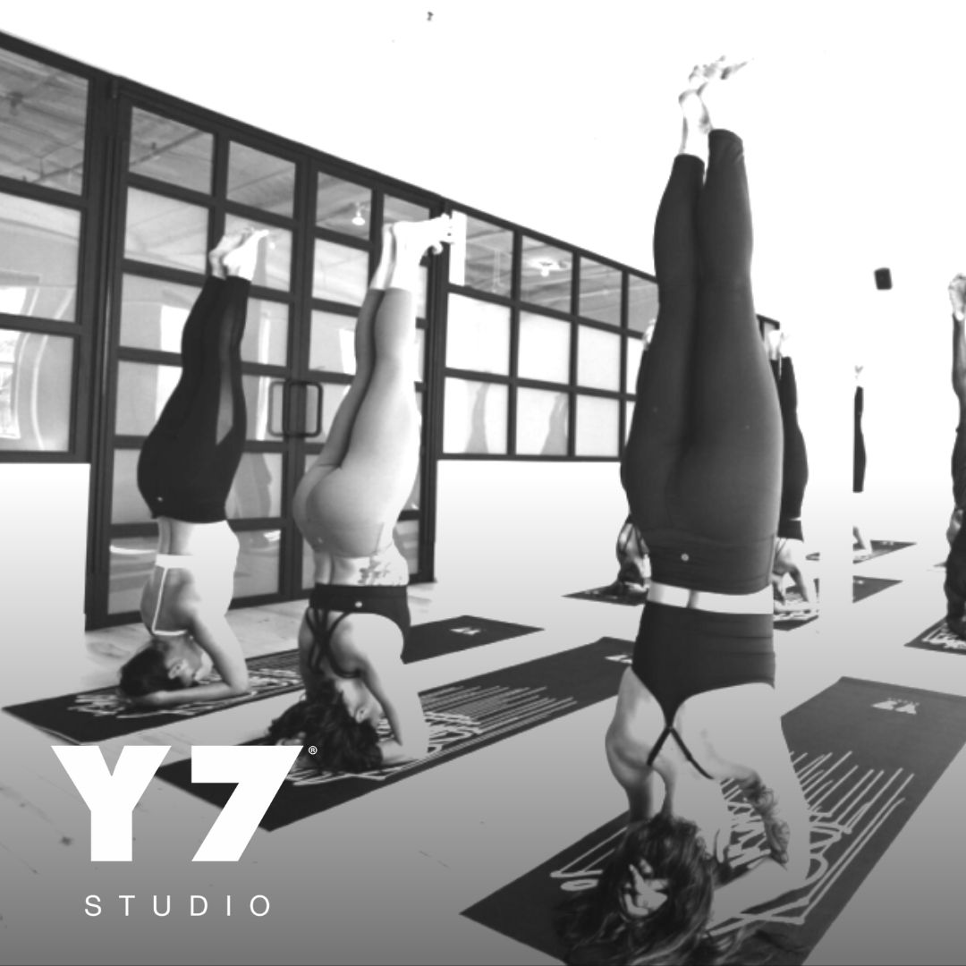 Y7 Studio